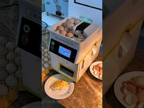 China's Automatic Egg Fryer