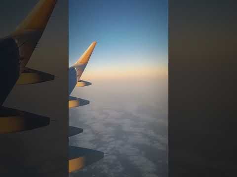 Inside out ♾️ Freedom