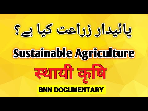 What is Sustainable Agriculture? @bnndocumentary