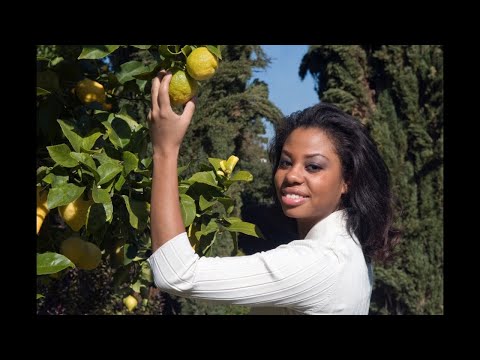 They Picking Lemons 😆 | AFW Friend or Foe | 88 vs Isha | Brina & Lemon pt. 4