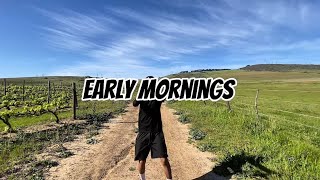 Early Mornings (One Take Video)