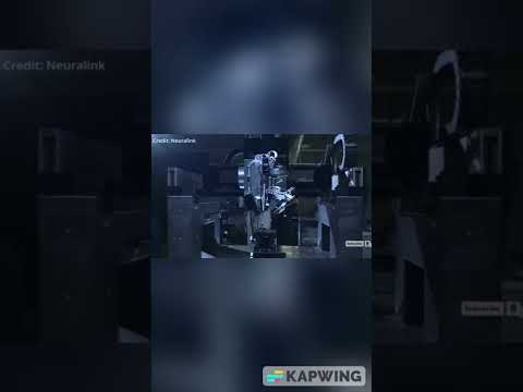 Tech News | New Neuralink BCI Rival