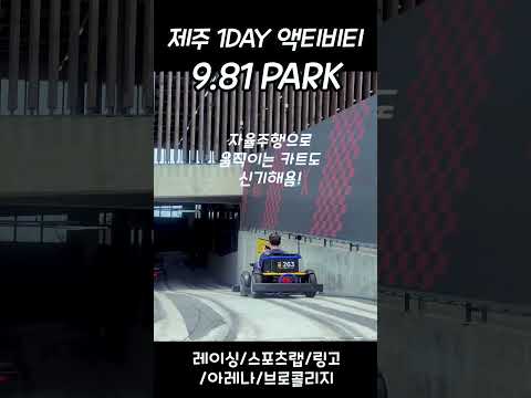 제주도 9.81파크에서 종일 액티비티 씐나게 즐겨보자!!