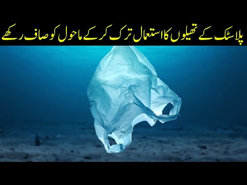 چلو مل کر خیبر پختونخوا کو آلودگی سے پاک کر کے پلاسٹک بیگز کا استعمال ترک کر ماحول کو  صاف رکھے