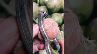 #agritools #farmer life #tonglufeng #agriculture #agritool #youtubeshorts #viral