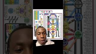 Knowledge ALWAYS Comes FIRST! #knowledge #esoteric #occult #knowledgeispower