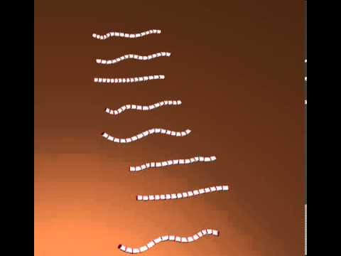 different_evolution_types