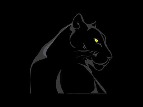 LICHT - Schwarzes Fell