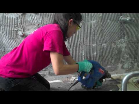 THP Panama Team Trailer