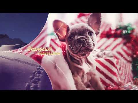 Christmas Slideshow (After Effects Template)