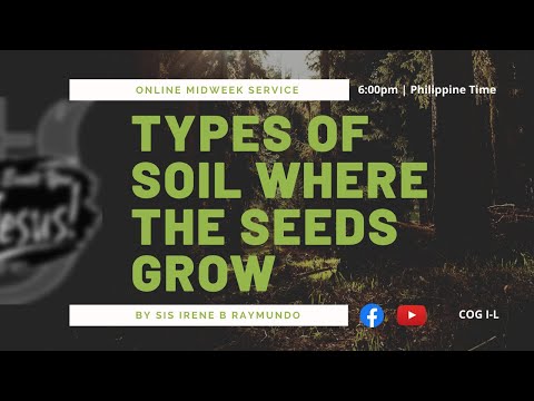 TYPES OF SOIL WHERE THE SEEDS GROW | BY SIS IRENE RAYMUNDO