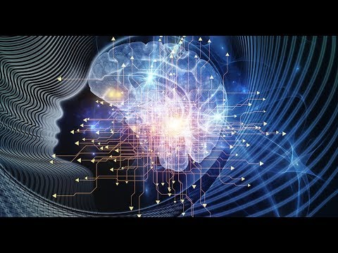 TensorFlow Custom Model Training