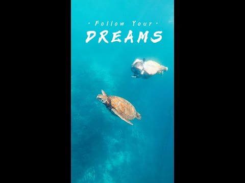 Swimming with Sardines & Turtles in Moalboal, Philippines | Digital Nomad Adventures