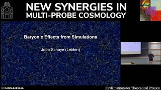 Baryonic Effects from Simulations | Joop Schaye (Leiden Obs.)