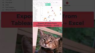 Export all #data from #tableau to #excel #tableaututorial #analytics #cat