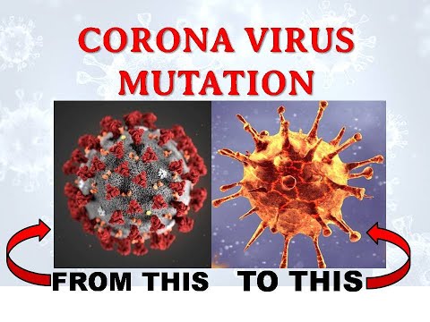 New UK strain B117 Corona Virus - What you need to know. The Virus Mutation Summary