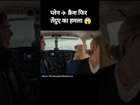 The Mountain Between Us (2017) Full Movie Explained in Hindi #dubbed #shorts #shortvideo #shortsfeed