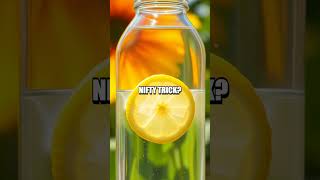 Unveiling 5 Ingenious Life Hacks for Effortless Living!