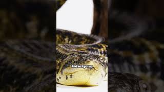 Innovation Born from Frustration: Discover the Story Behind PyTabular!