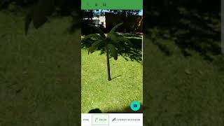 TreeScene - Summer-Fall 2020 AlgoExpert Software Engineering Competition