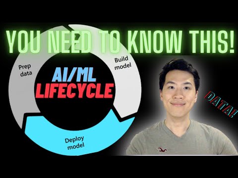 EVERY Data Scientist NEEDS to know what a Machine Learning Lifecycle is!