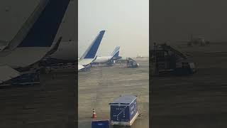 Explore Airport Runway#flight#vehicals#youtubeshorts#placeswegoexploringtravelblog#travelblog#trend#