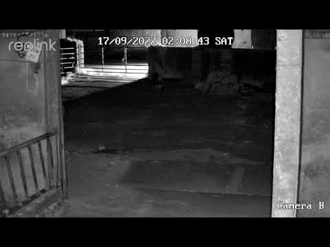 Camera B 00 20220917020812