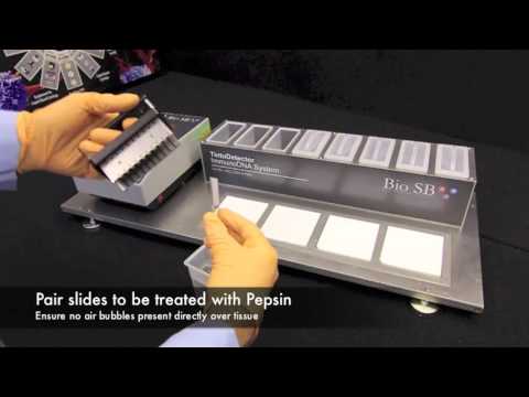 Bio SB: In-Situ Hybridization (CISH & FISH) - Tutorial Video