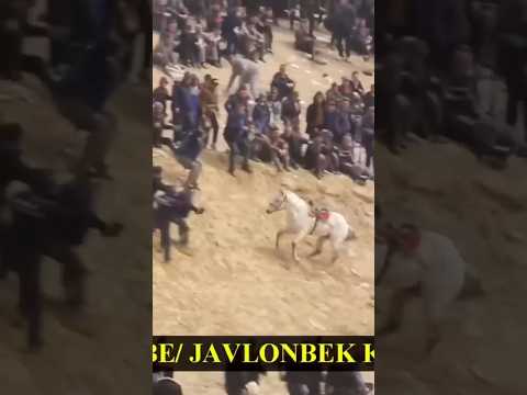 #horse #trending #subscribe #viral #shortsvideo