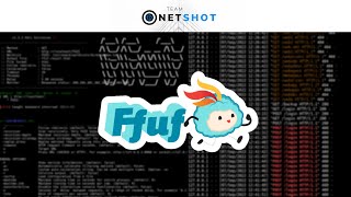 [Hacker's toolkit] Fuzzing with FFuF: enumerating URLs and Requests