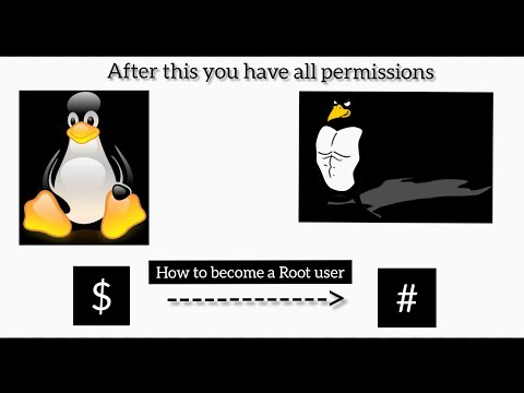 How to become a Root user and access root directories in kali linux!