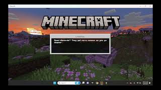 server speed run bedrock