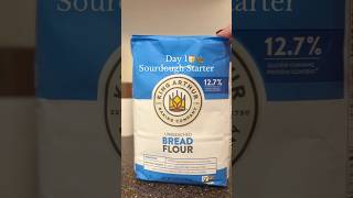 Day 1: Sourdough Starter for Beginners🍞 #sourdoughstarter #sourdoughforbeginners