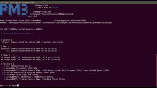 Analysis of a mifare ultralight hotel key card with a proxmark RDV4