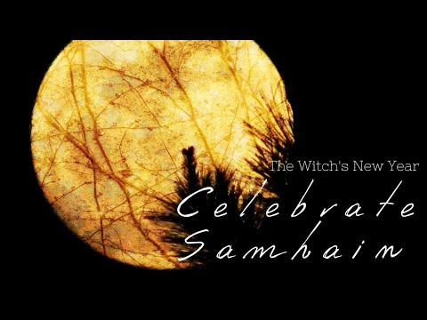 Celebrate Samhain | Witchcraft Halloween | Witch tips & ideas