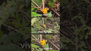 Vivo x200 Pro Vs Vivo x200 Vs ViVO X 200 Fe Photography Test Camera Testing video ZoomTest #vivox200
