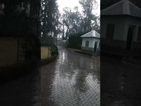 #rainfall