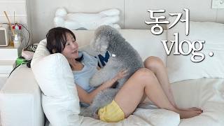 이사 후 집을 잃은 사람의 얹혀살기 브이로그( ;  ᷄ᾥ ᷅ ; ) 엄생충 1화