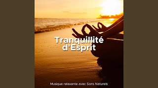 Musique pour voyager