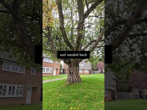 The only person I needed back 🤍 #selfreflection #slowliving #digitalnomad #selflove #healingjourney