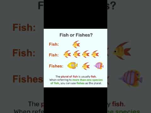 Plural Noun #fish #advancedenglish #advancedvocubulary #collegecourse #learnadvancedenglish #vocb