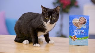 Whisker Lickin’s Cat Treats | Chewy