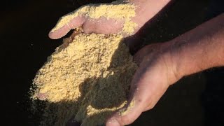 AgweekTV: Soybean Meal Exports at All Time High