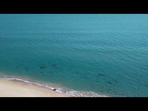No Copyright Free Sea, water, Sand, Nature, Abstract Background video...