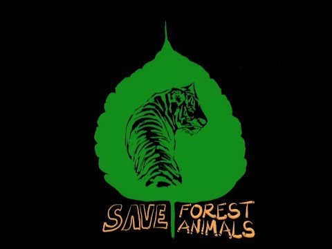 Tilt Brush painting: Virtual Reality creation Save trees, Save lives by Vinay Hegde Cosmic Splash