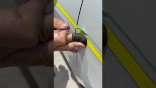 Green pinstripe. Hand painted