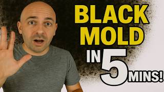 Black Mold - How To Kill Toxic Mold In Under 5 Mins!