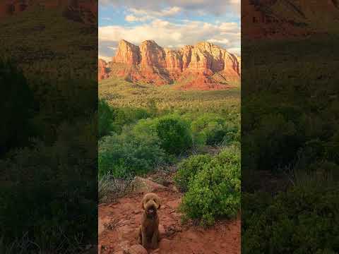Stunning Views of Sedona AZ-With My Dog  #explore #arizona #views