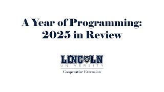 A Year of Programming: 2025 in Review