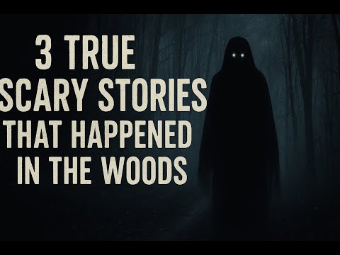 3 True Scary Stories That Happened in the Woods